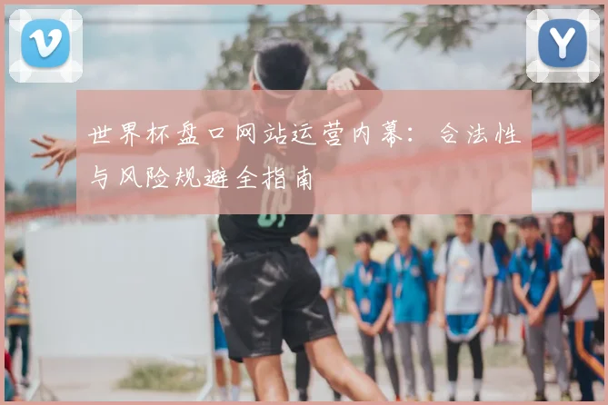 世界杯盘口网站运营内幕：合法性与风险规避全指南