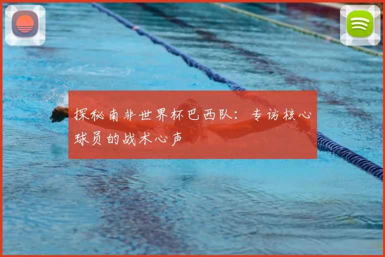 探秘南非世界杯巴西队：专访核心球员的战术心声