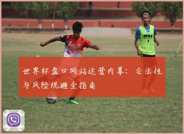 世界杯盘口网站运营内幕：合法性与风险规避全指南