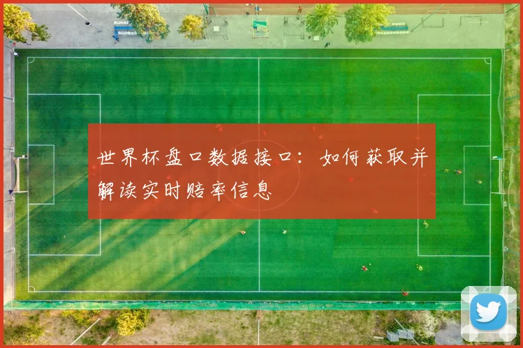 世界杯盘口数据接口：如何获取并解读实时赔率信息